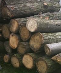 Bild zu Kaminholz Rollenholz Birke Kiefer Obstbume usw.